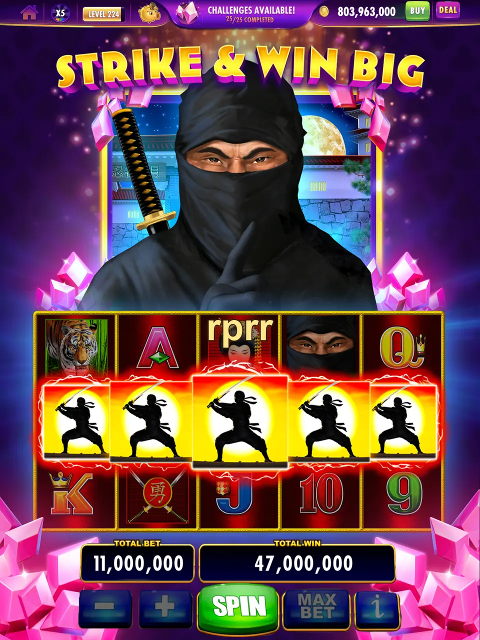 rprr APK